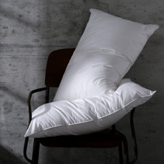 Envirosleep down dreams outlet pillow